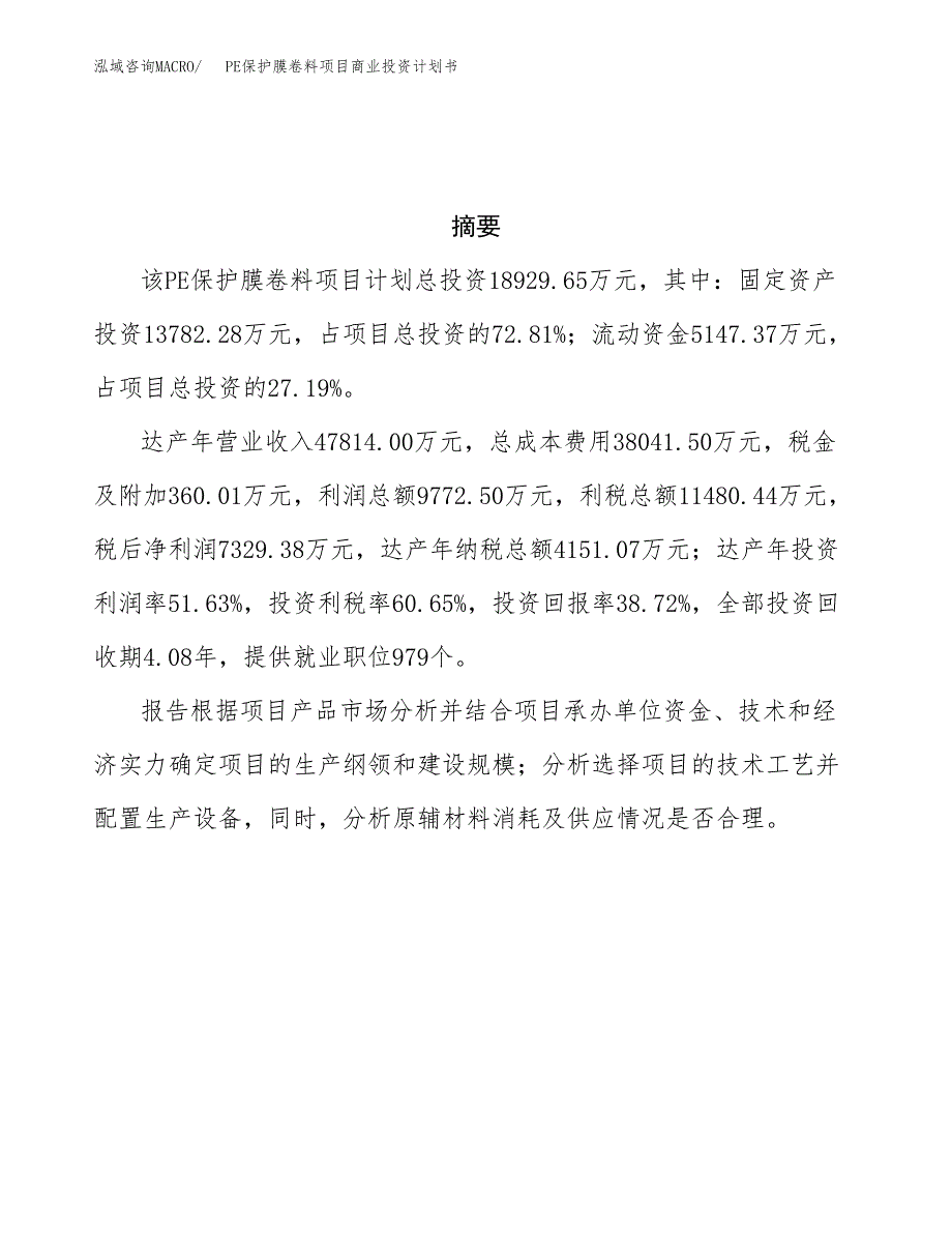 PE保护膜卷料项目商业投资计划书（总投资19000万元）.docx_第3页