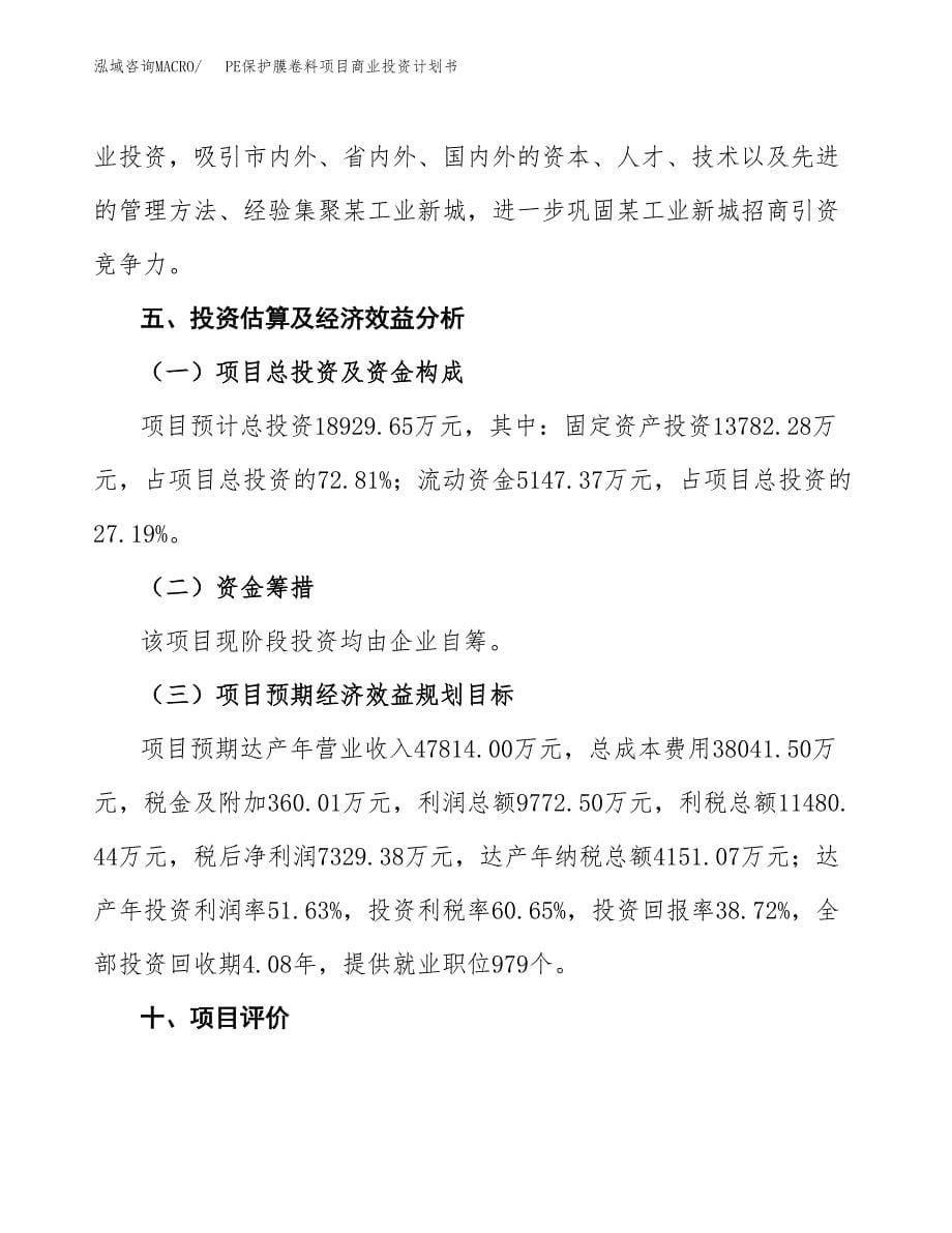 PE保护膜卷料项目商业投资计划书（总投资19000万元）.docx_第5页