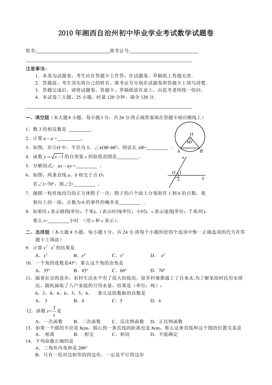 2010年湘西州中考数学试题含答案解析_第1页