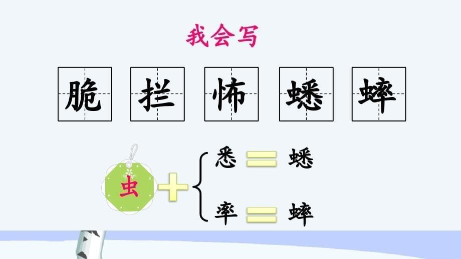 （统编版）部编人教版六年级下册语文《15 表里的生物》教学课件 (2)_第5页