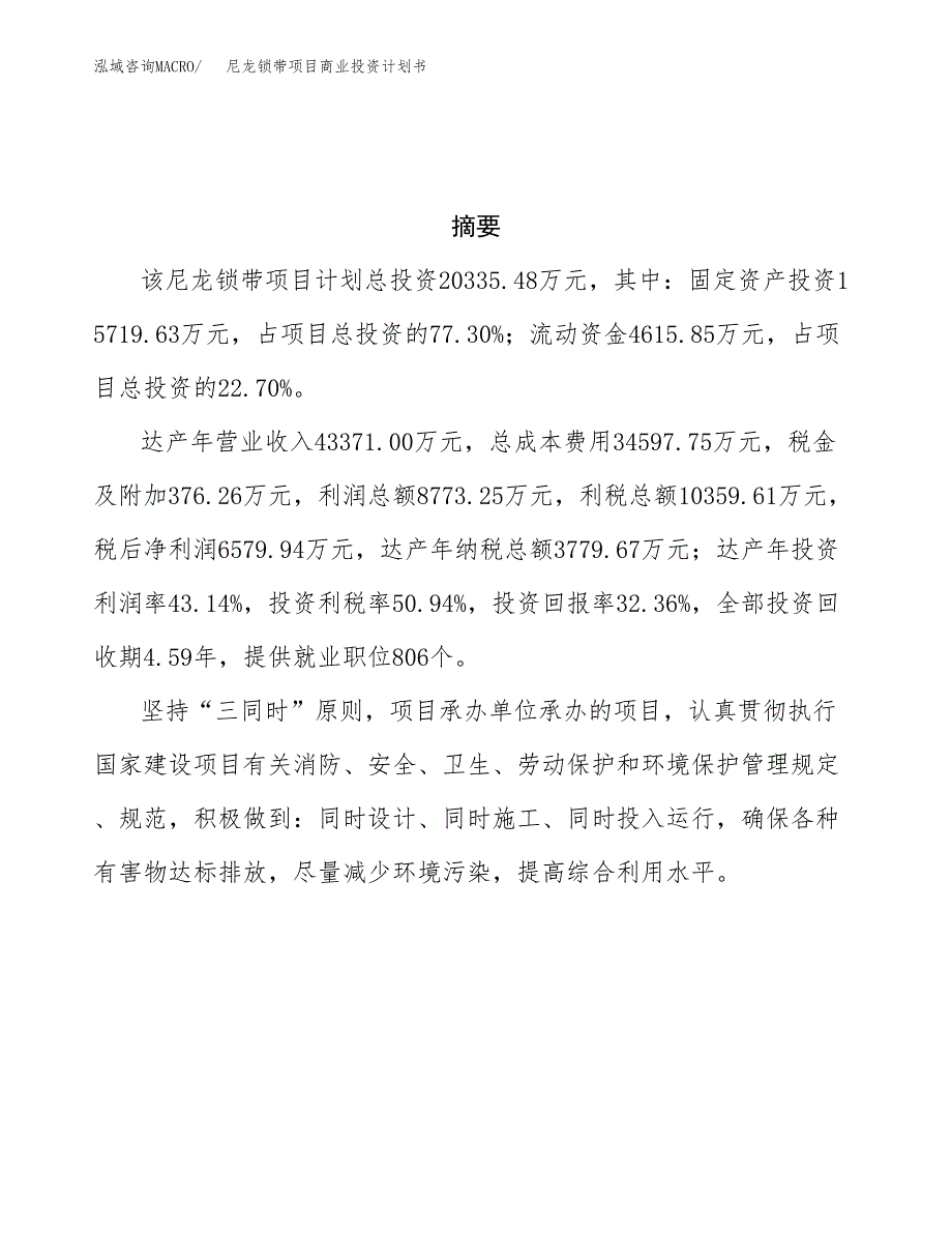 尼龙锁带项目商业投资计划书（总投资20000万元）.docx_第3页