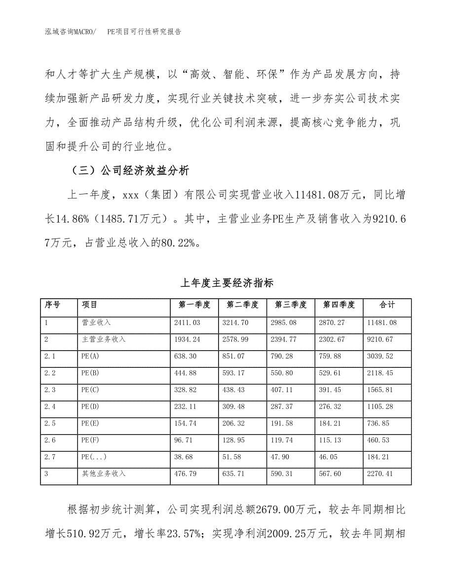 PE项目可行性研究报告建议书.docx_第5页