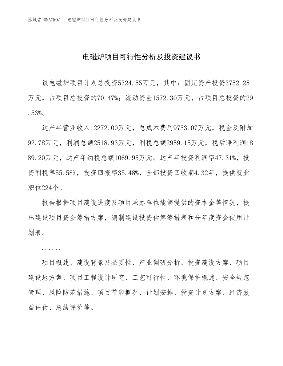 电磁炉灶项目可行性分析及投资建议书.docx_第1页