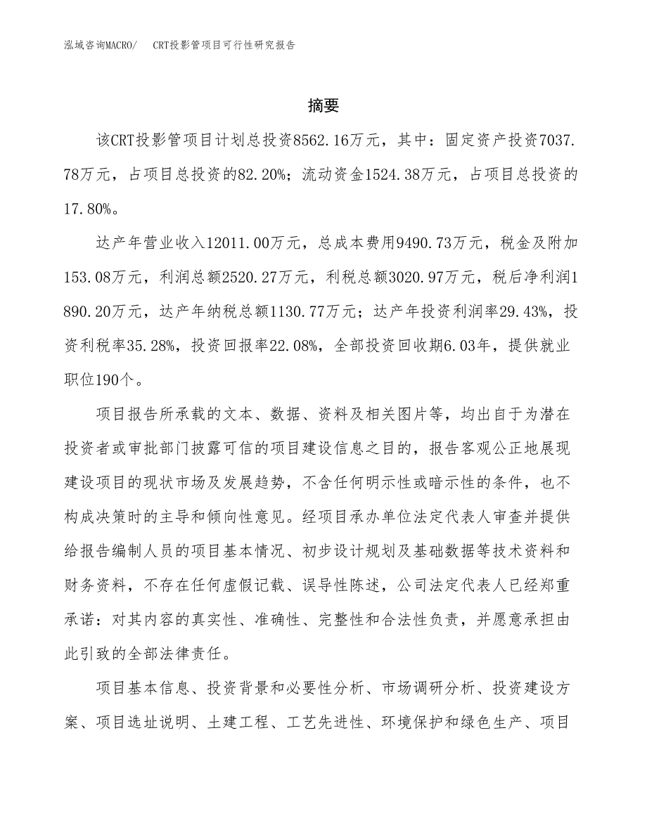 CRT投影管项目可行性研究报告建议书.docx_第2页