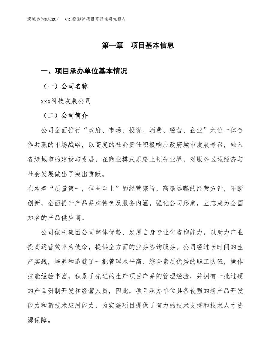 CRT投影管项目可行性研究报告建议书.docx_第5页