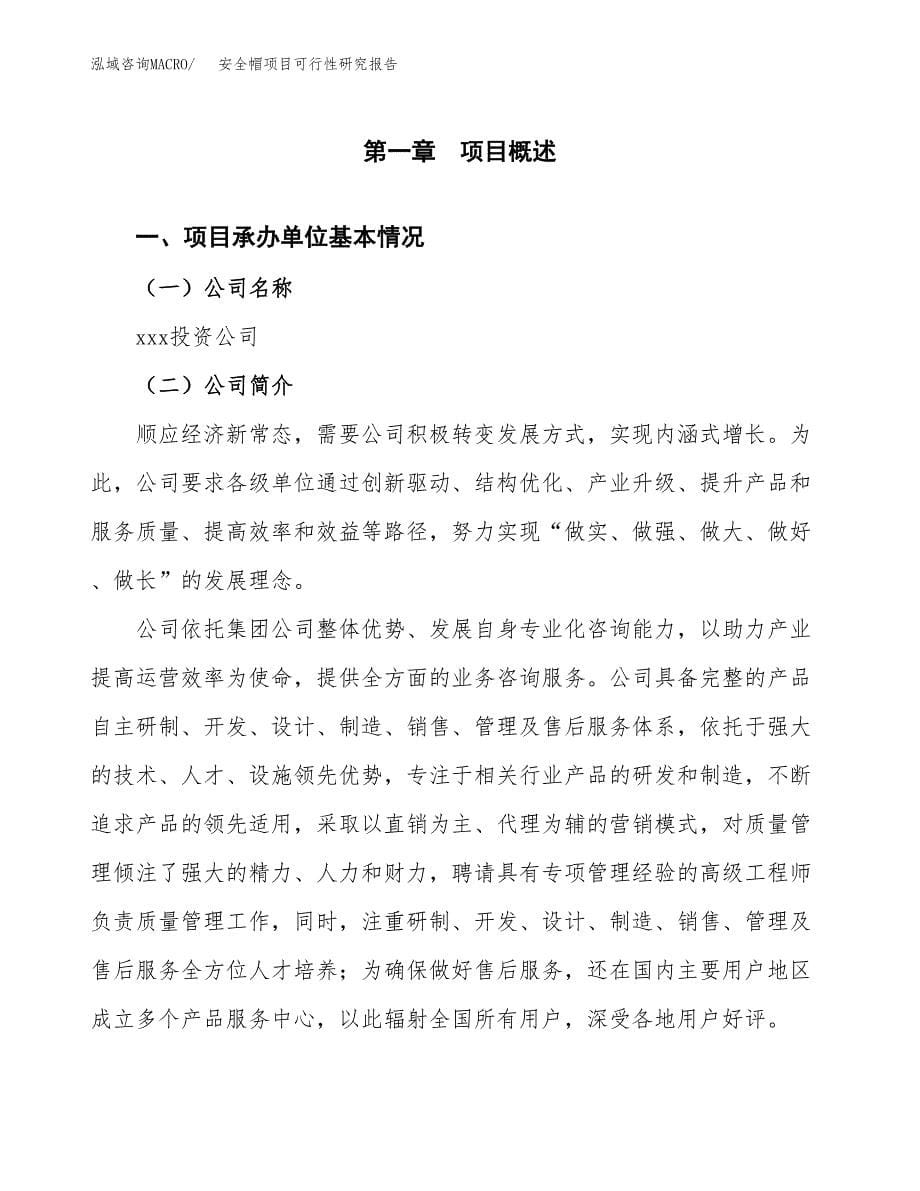 安全帽项目可行性研究报告建议书.docx_第5页