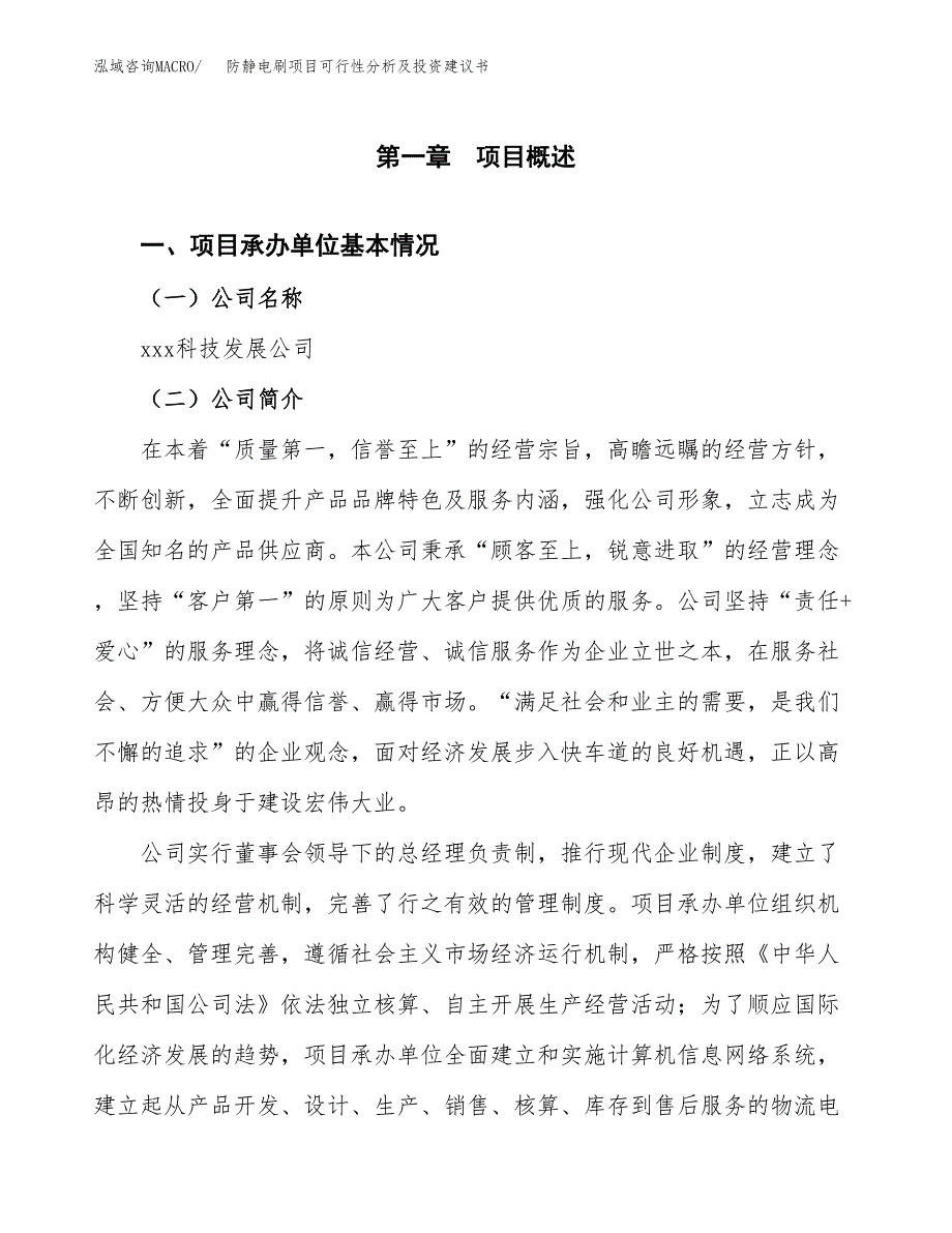 防静电刷项目可行性分析及投资建议书.docx_第3页