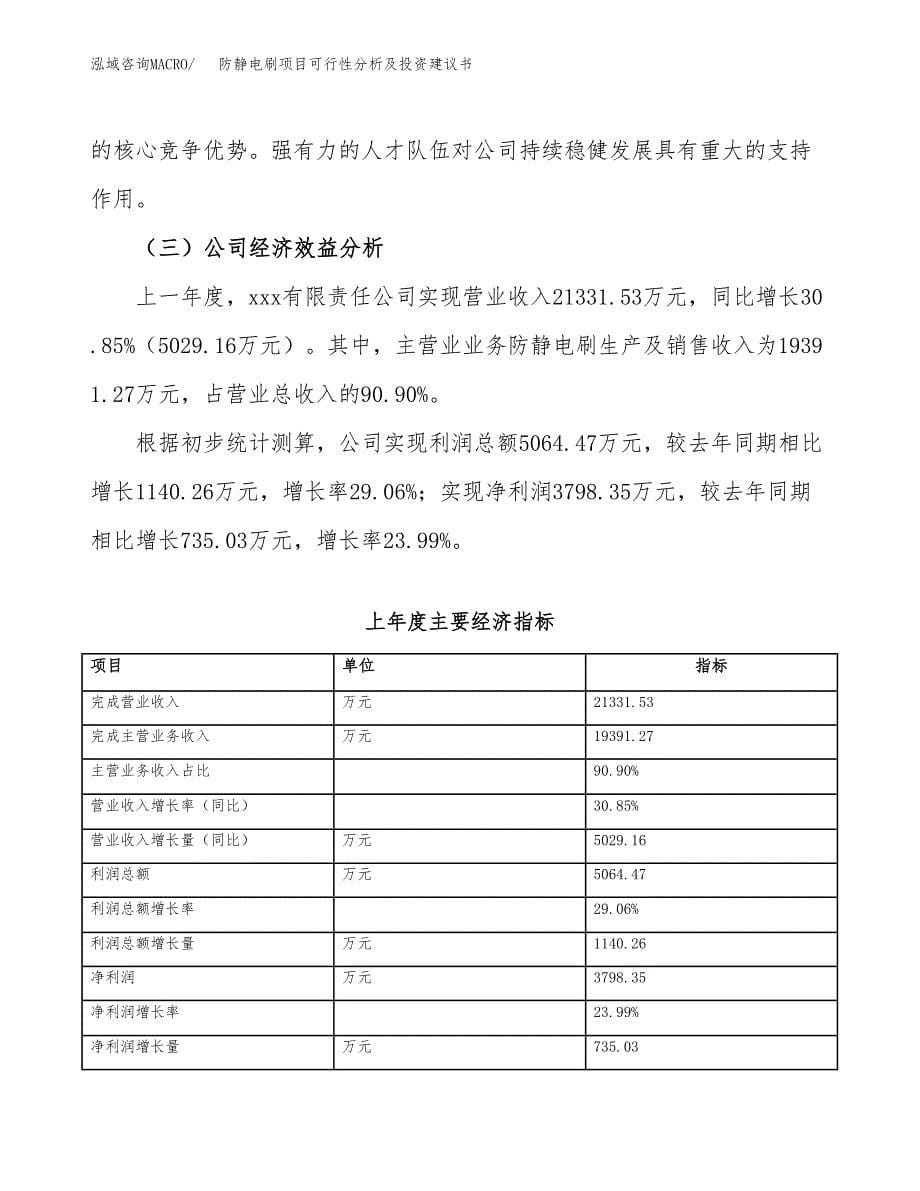 防静电刷项目可行性分析及投资建议书.docx_第5页