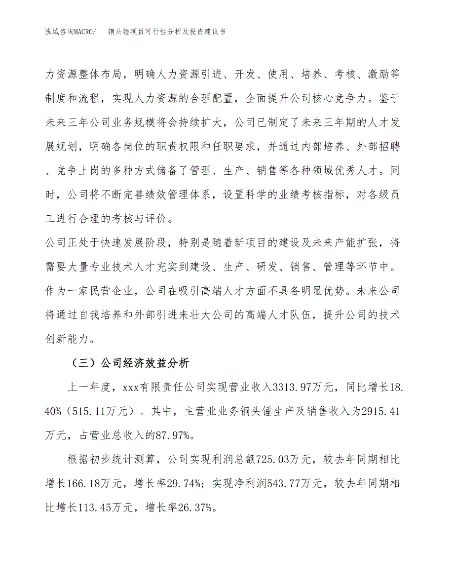 铜头锤项目可行性分析及投资建议书.docx_第4页