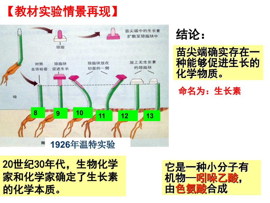 高二生物学考专题复习必修3_第3页