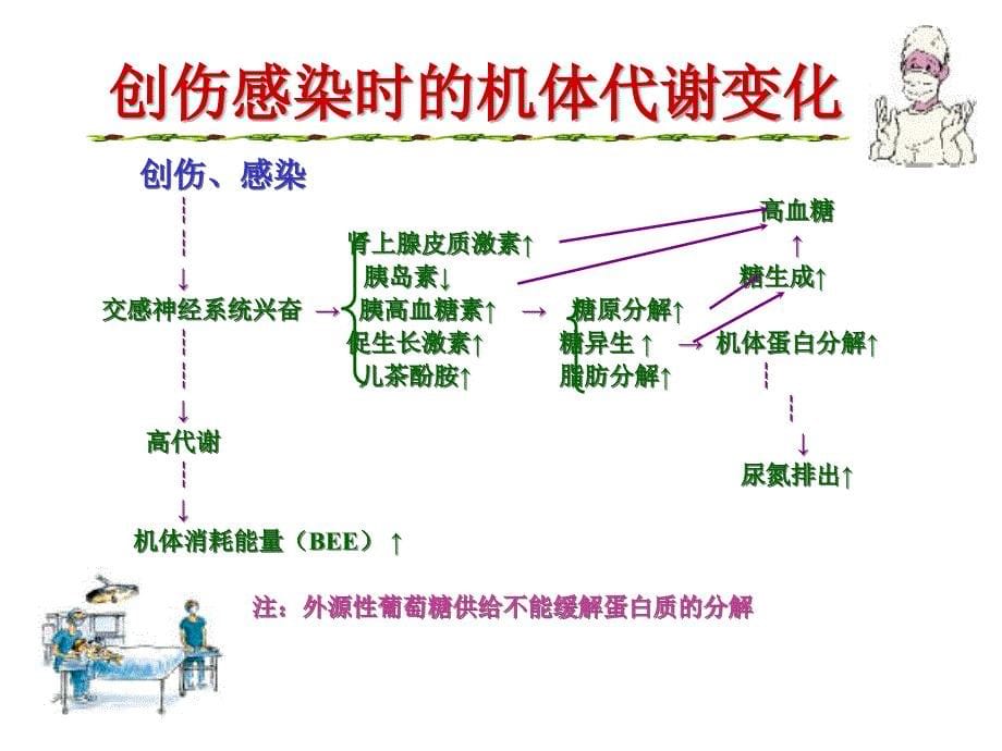 第八章营养支持病人的护理_第5页