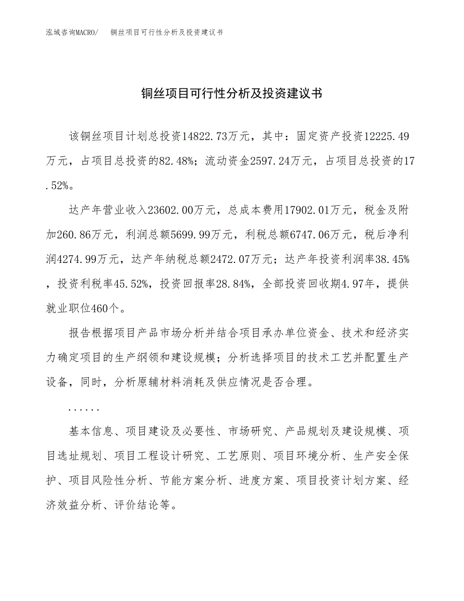 铜丝项目可行性分析及投资建议书.docx_第1页