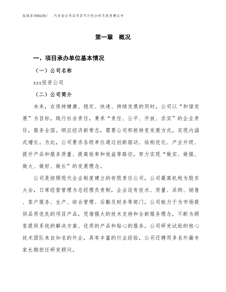 汽车安全用品项目可行性分析及投资建议书.docx_第3页