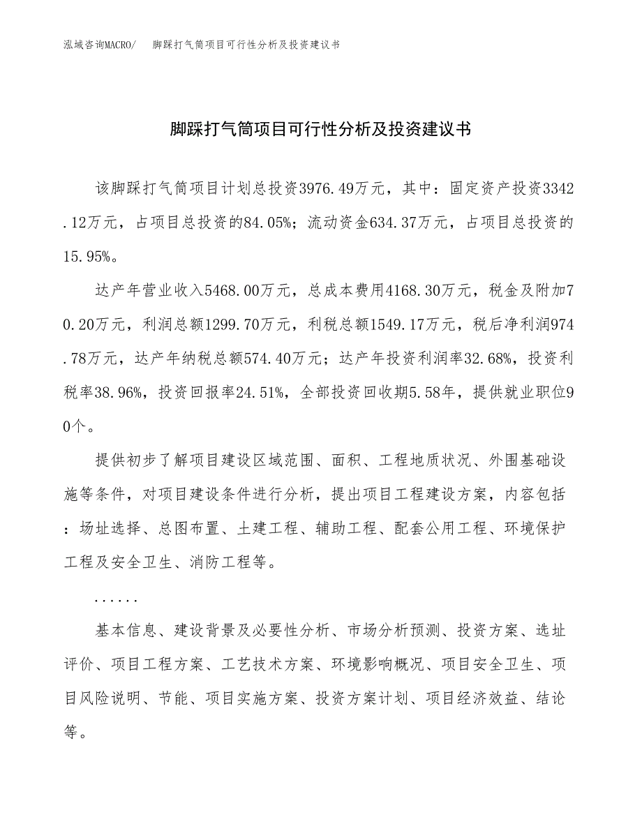 脚踩打气筒项目可行性分析及投资建议书.docx_第1页