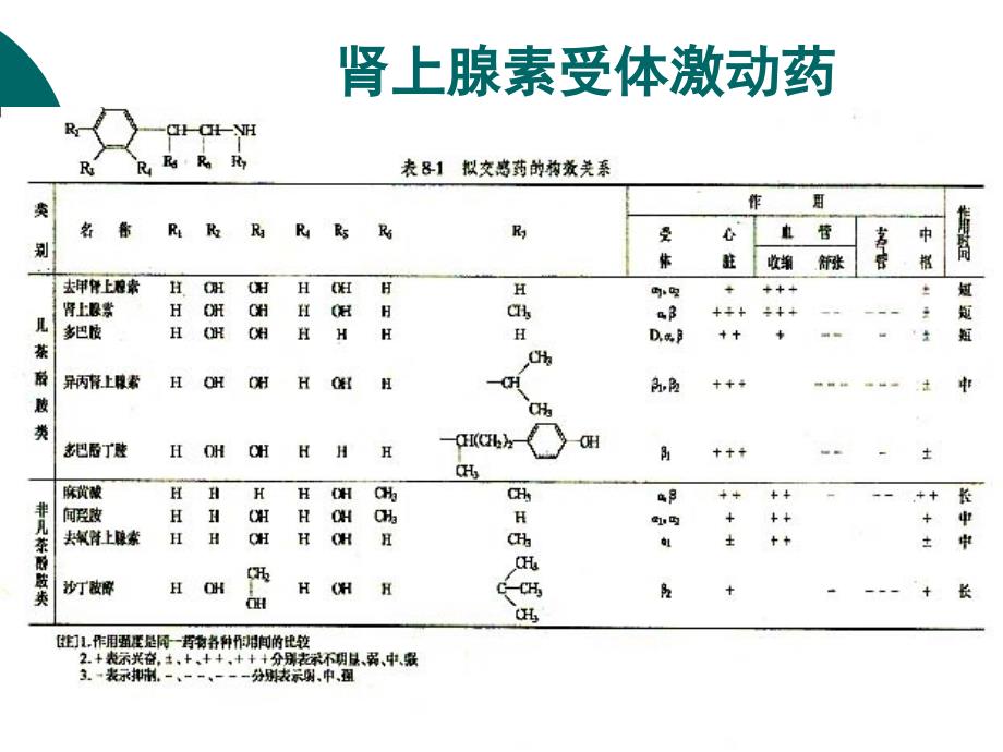 拟抗肾上腺素药(陈少雅人卫7版)_第2页