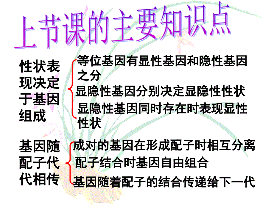 第20章生物的遗传与变异-医学资料_第2页