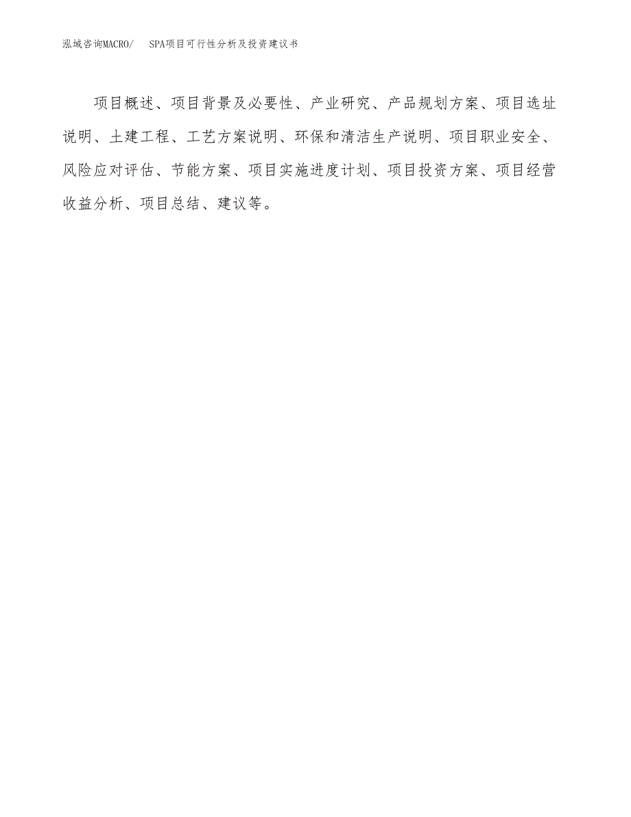 SPA项目可行性分析及投资建议书.docx_第2页