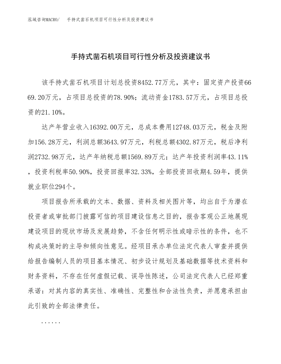 手持式凿石机项目可行性分析及投资建议书.docx_第1页