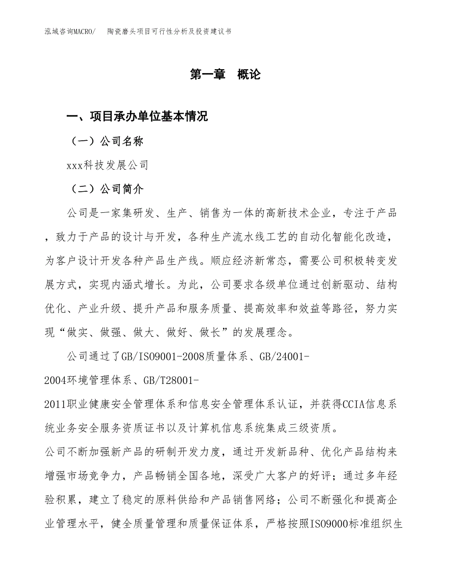 陶瓷磨头项目可行性分析及投资建议书.docx_第3页