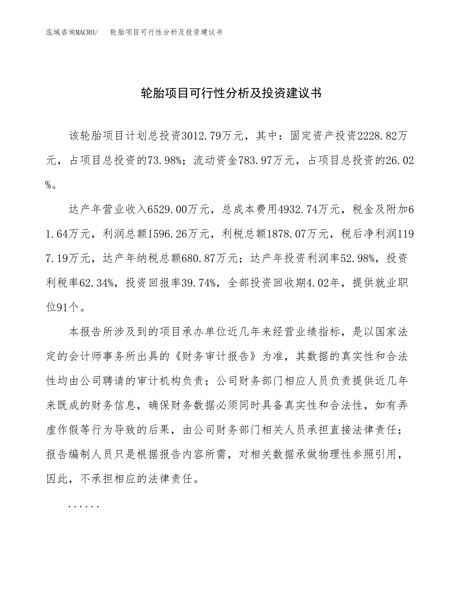 轮胎项目可行性分析及投资建议书.docx_第1页