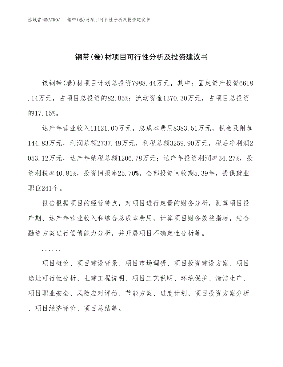 钢带(卷)材项目可行性分析及投资建议书.docx_第1页