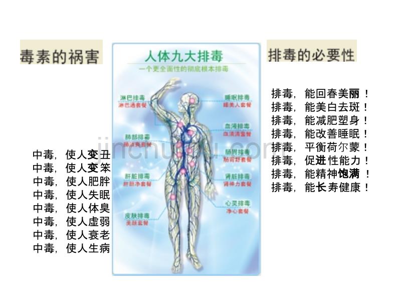 肝胆肠排毒课件ppt课件_第3页