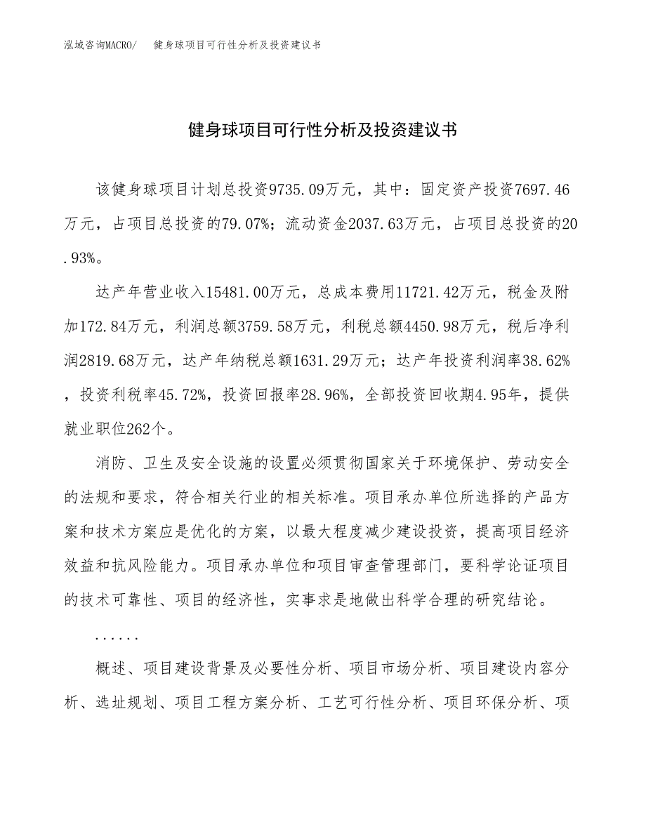 健身球项目可行性分析及投资建议书.docx_第1页