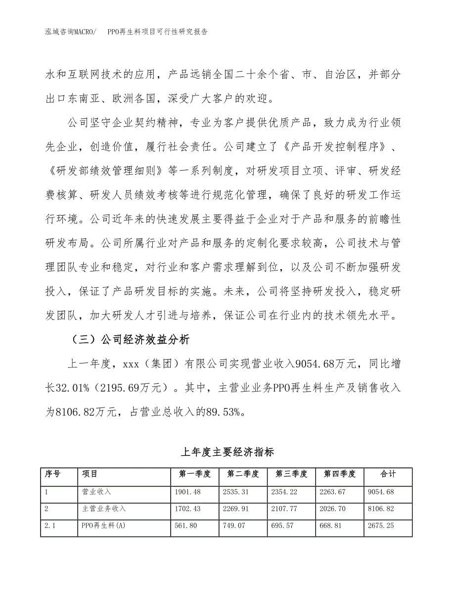 PPO再生料项目可行性研究报告建议书.docx_第5页