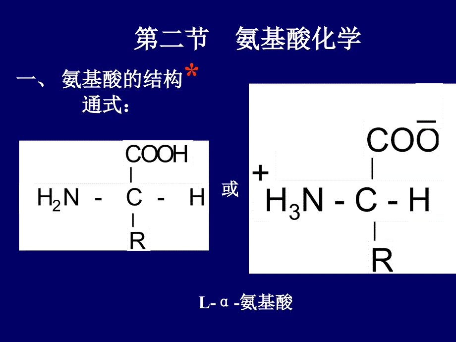 第十一章蛋白质化学_第4页