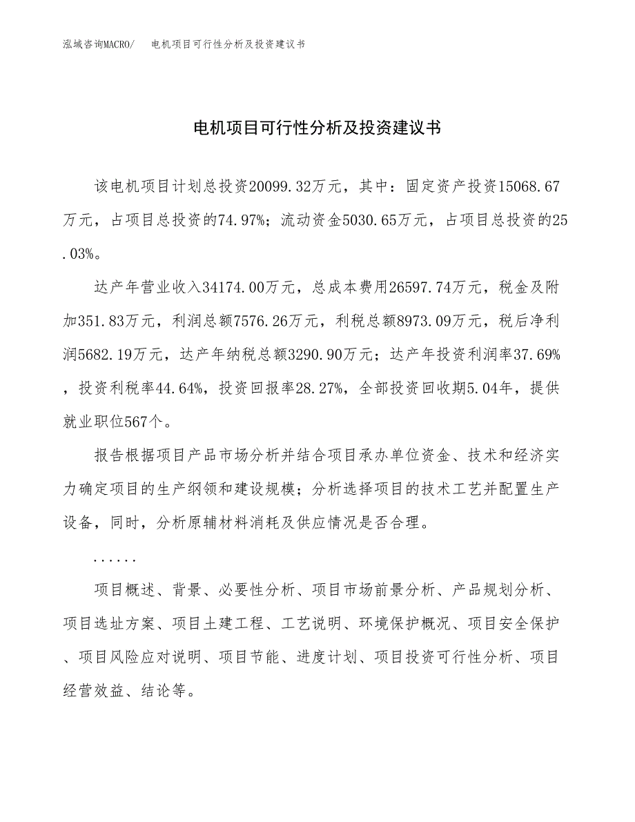 电机项目可行性分析及投资建议书.docx_第1页