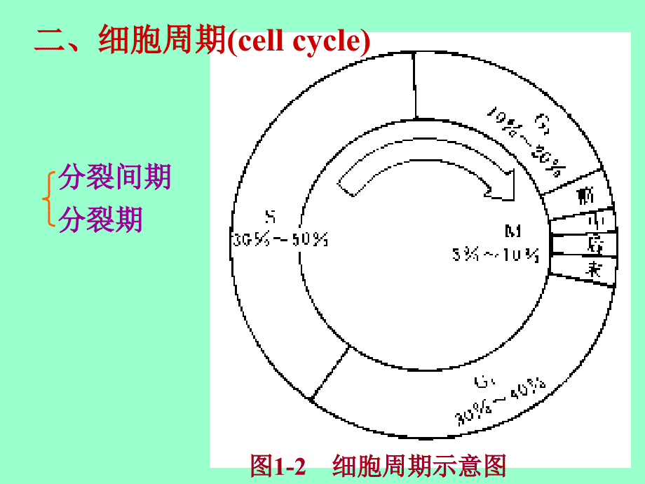 第一动物体的基本结构与机能_第2页