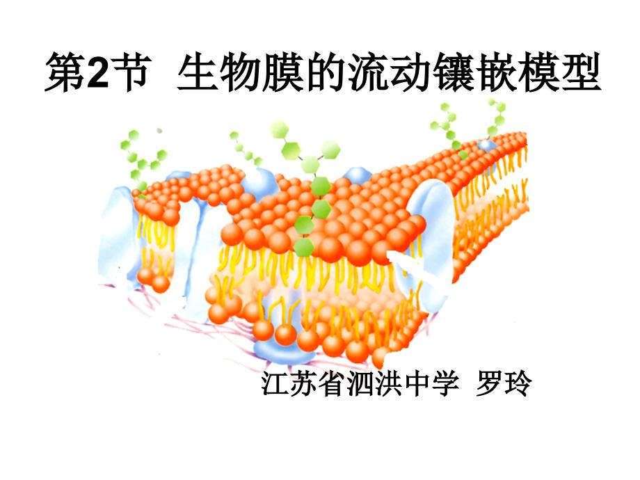 第2部分生物膜的流动镶嵌模型-医学资料_第1页