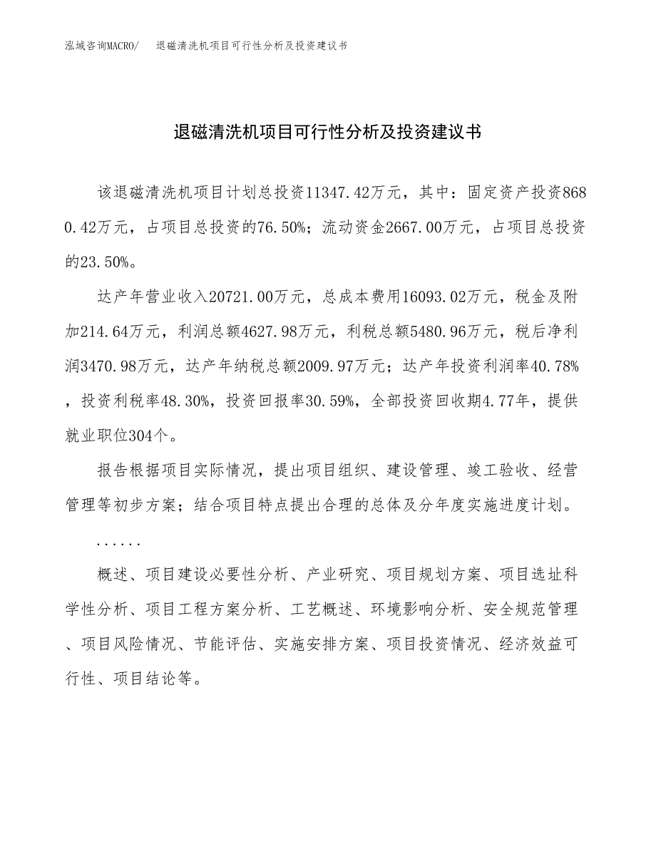 退磁清洗机项目可行性分析及投资建议书.docx_第1页