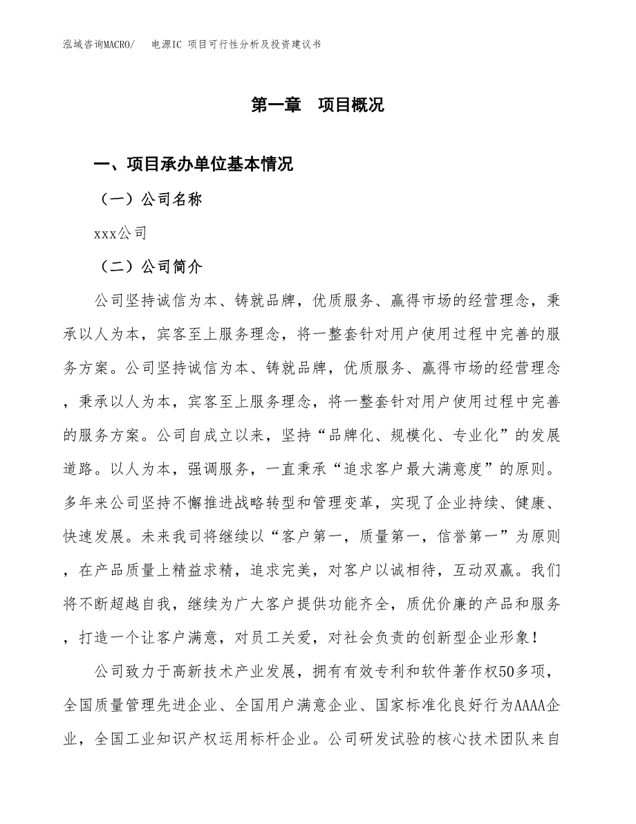 电源IC 项目可行性分析及投资建议书.docx_第3页