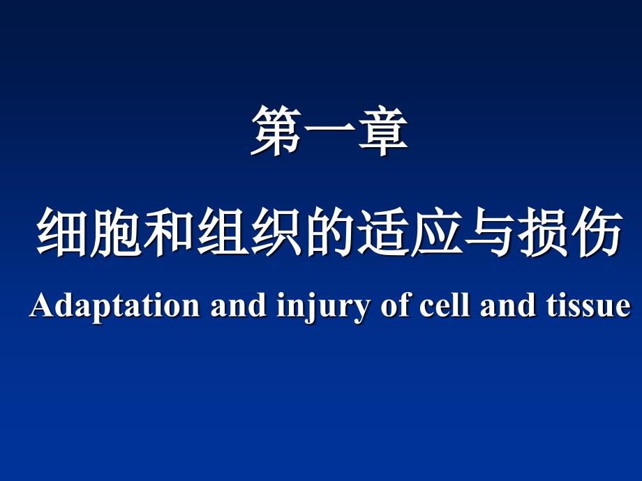 第一章细胞组织的适应和损伤2_第1页