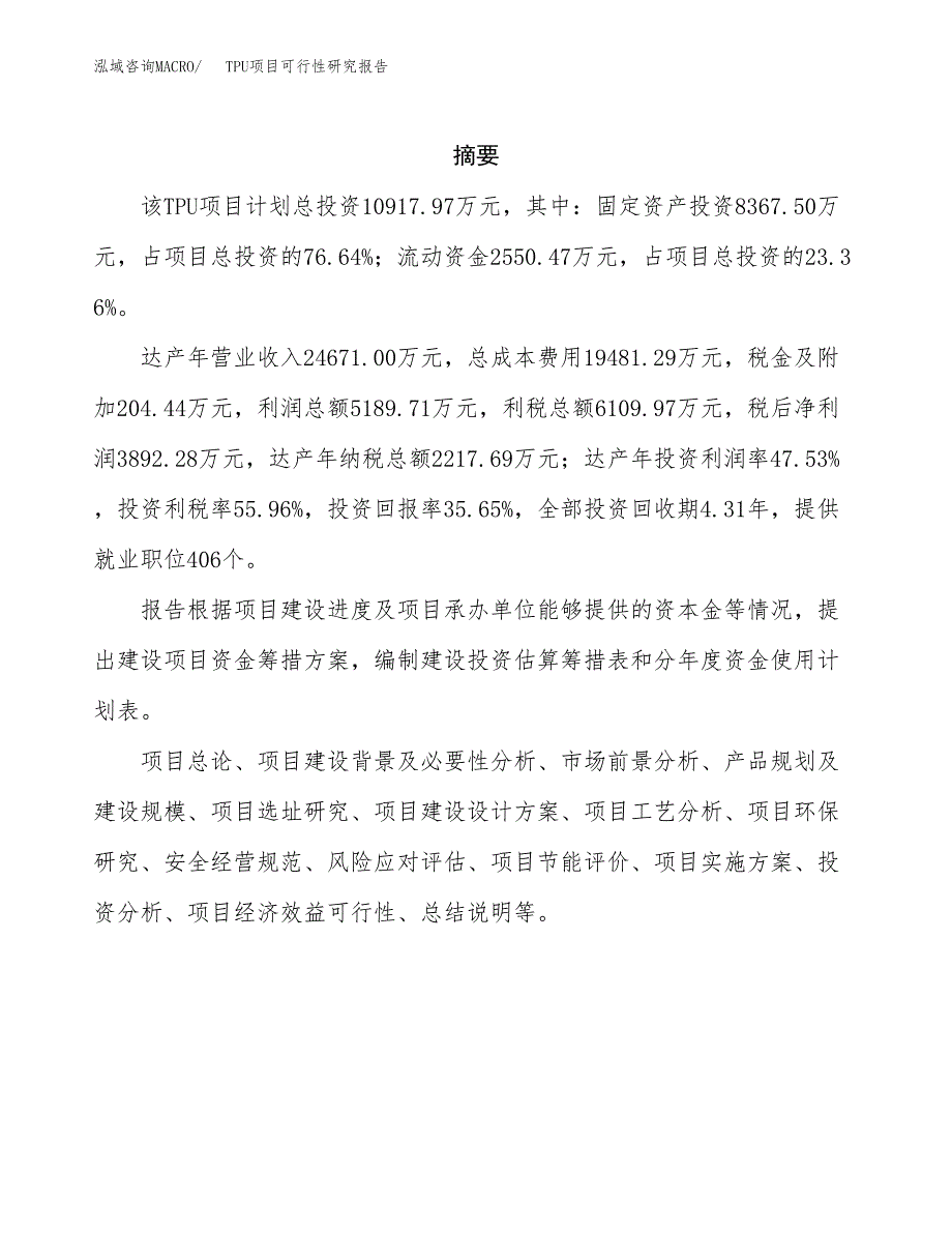 TPU项目可行性研究报告建议书.docx_第2页