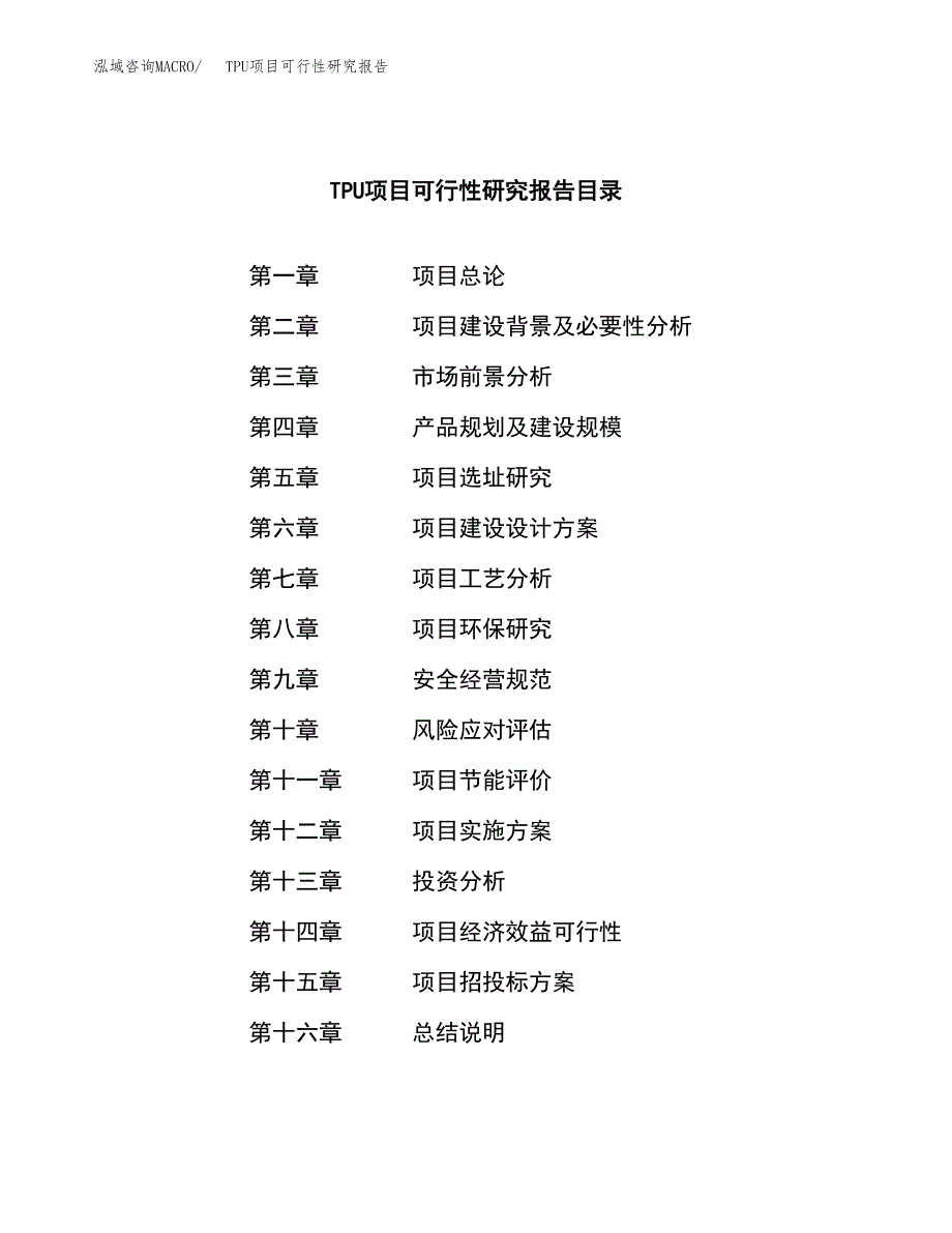 TPU项目可行性研究报告建议书.docx_第3页