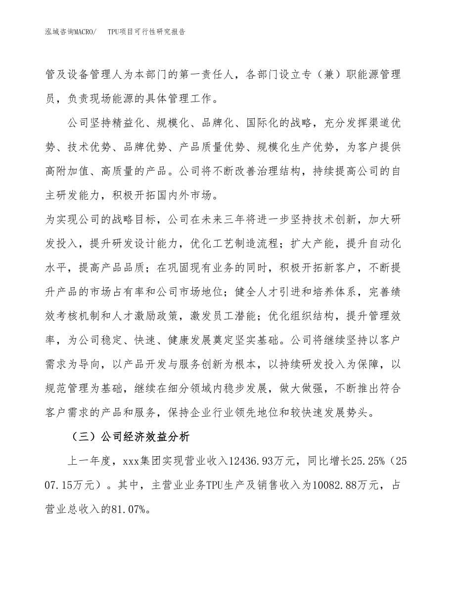 TPU项目可行性研究报告建议书.docx_第5页