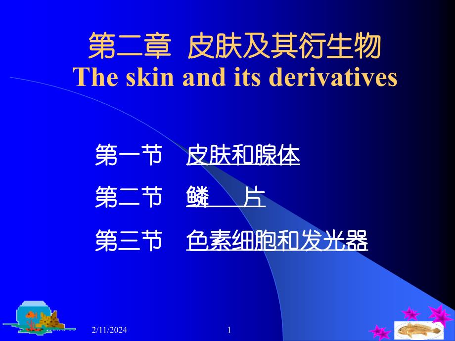 第二章皮肤及其衍生物Theskinanditsderivatives_第1页