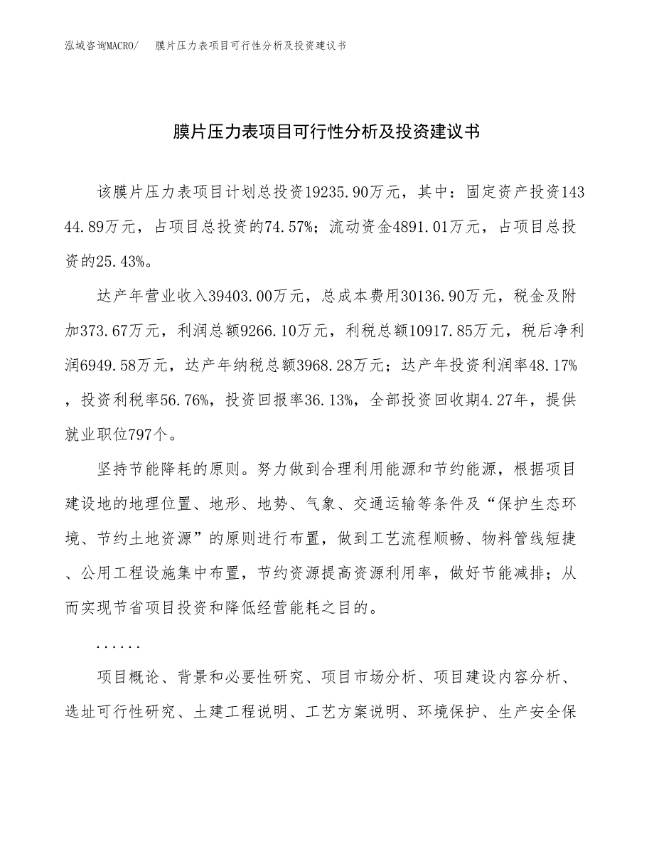 膜片压力表项目可行性分析及投资建议书.docx_第1页