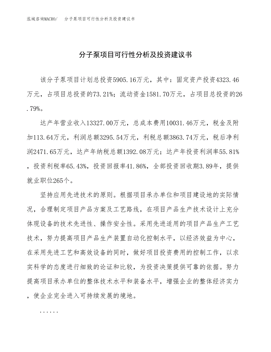 分子泵项目可行性分析及投资建议书.docx_第1页