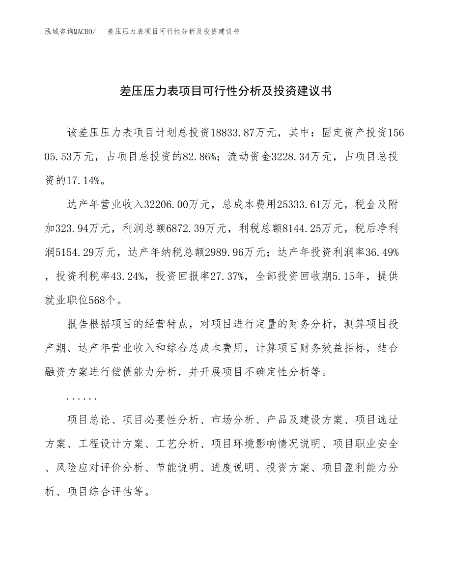 差压压力表项目可行性分析及投资建议书.docx_第1页