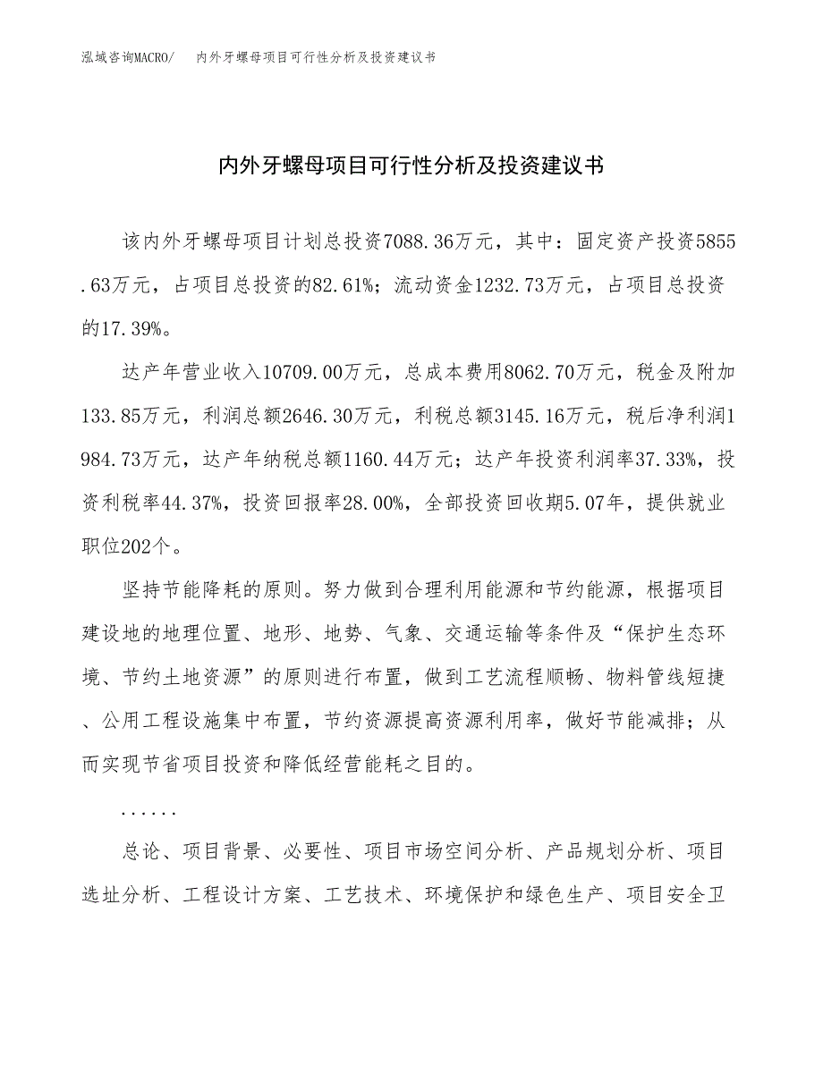 内外牙螺母项目可行性分析及投资建议书.docx_第1页