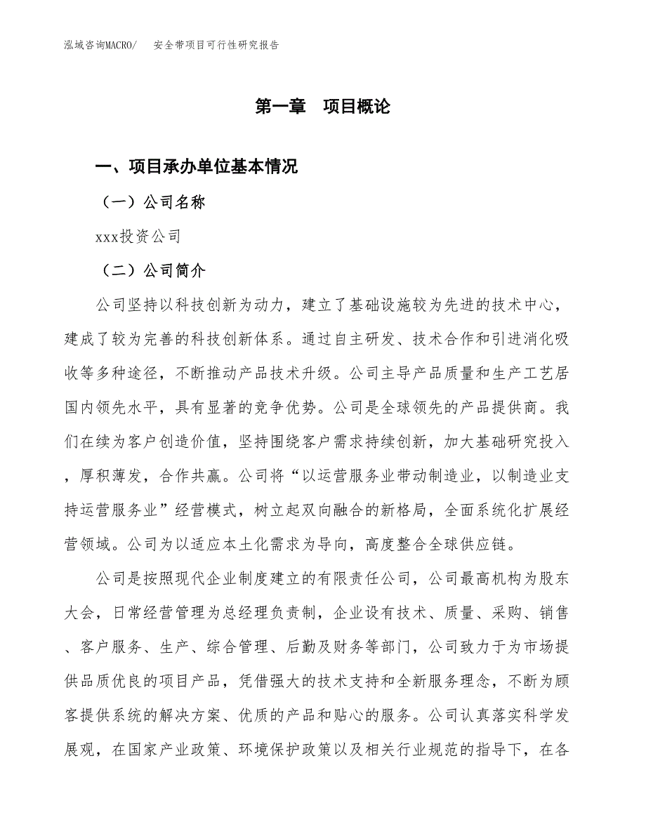 安全带项目可行性研究报告建议书.docx_第4页