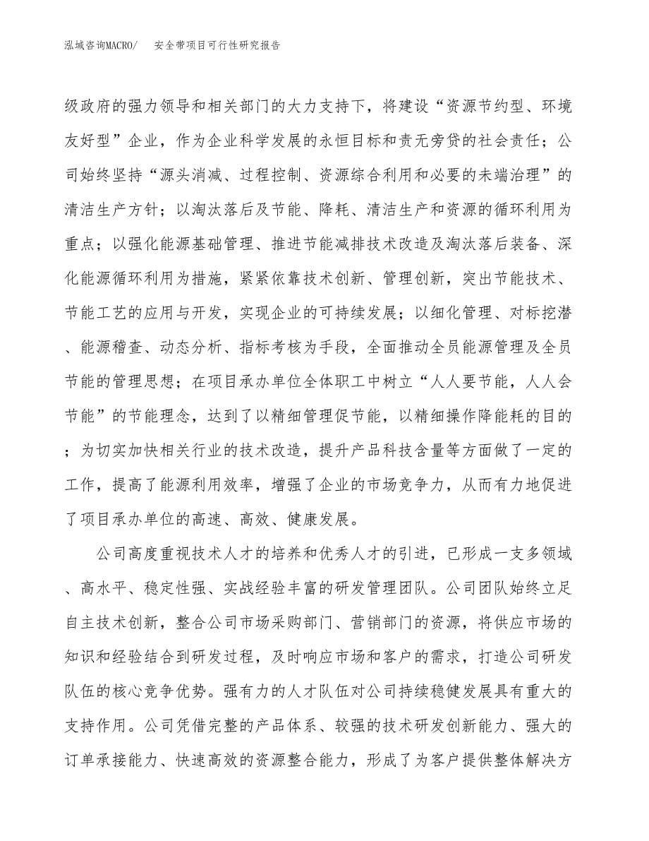 安全带项目可行性研究报告建议书.docx_第5页