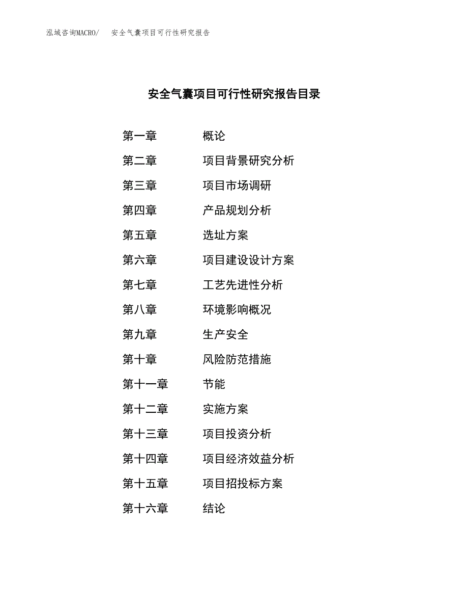 安全气囊项目可行性研究报告建议书.docx_第4页