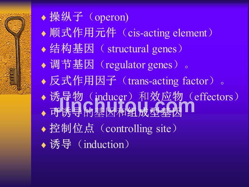 第十六原核生物基因表达的调控_第2页