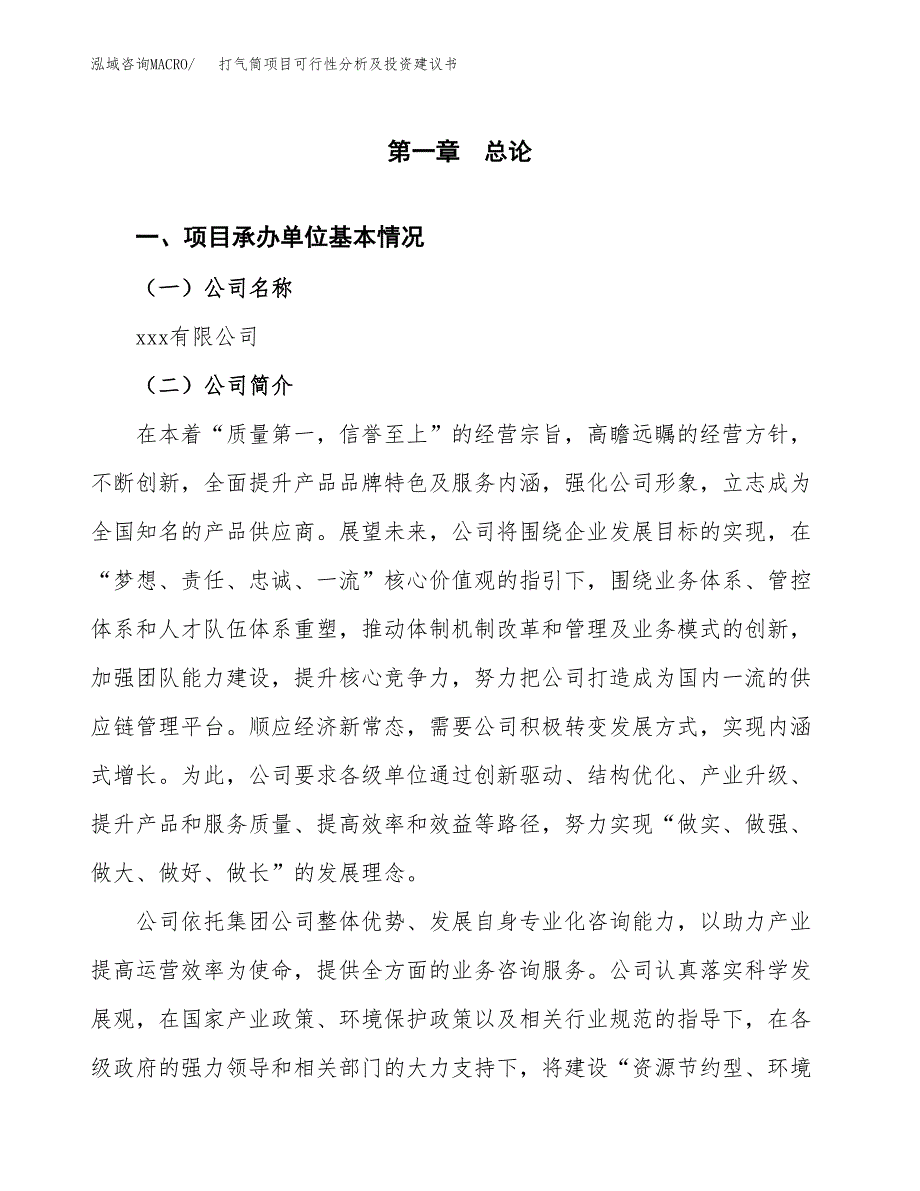 打气筒项目可行性分析及投资建议书.docx_第3页