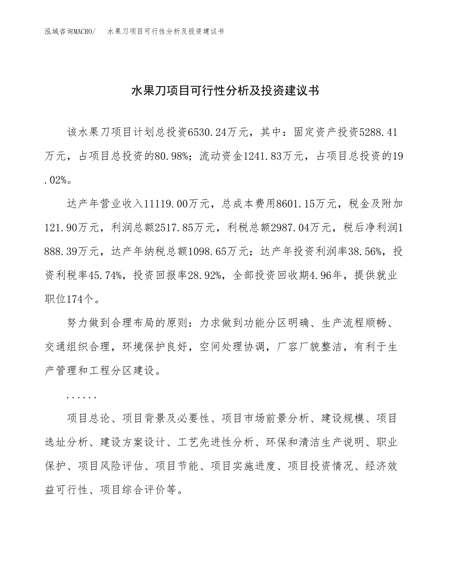 水果刀项目可行性分析及投资建议书.docx_第1页