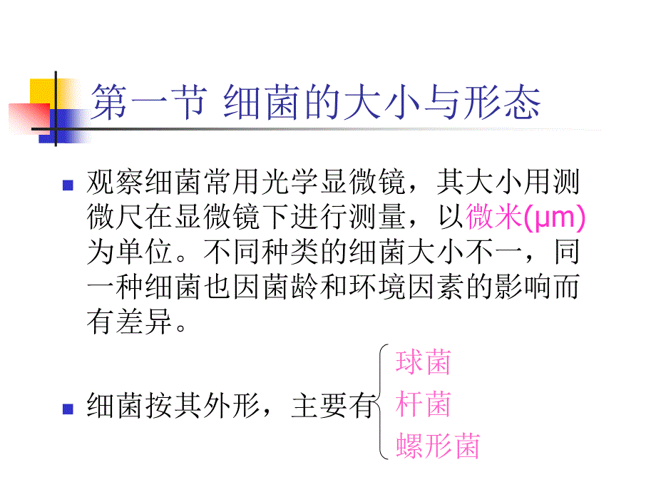 第一细菌的形态与结构_第2页